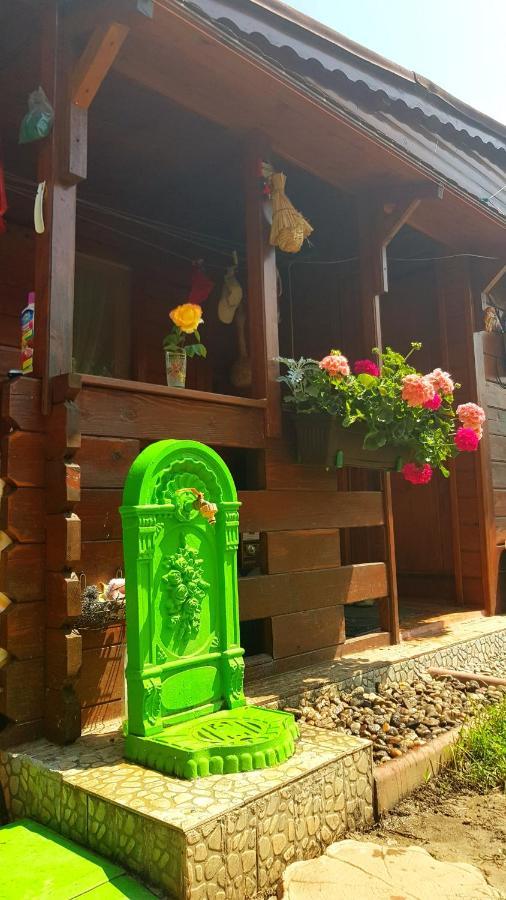 ホテル Casa Ursului Bujoreni エクステリア 写真