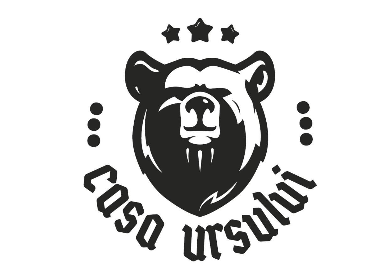 ホテル Casa Ursului Bujoreni エクステリア 写真